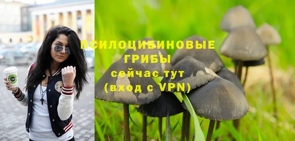 mix Алексин