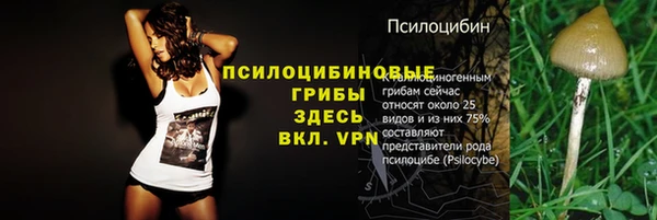 mix Алексин