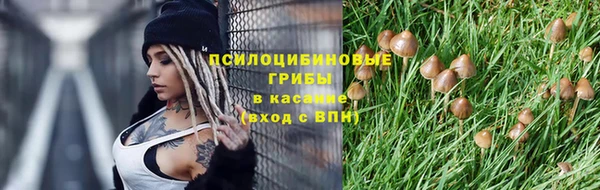 прущие крисы Алзамай
