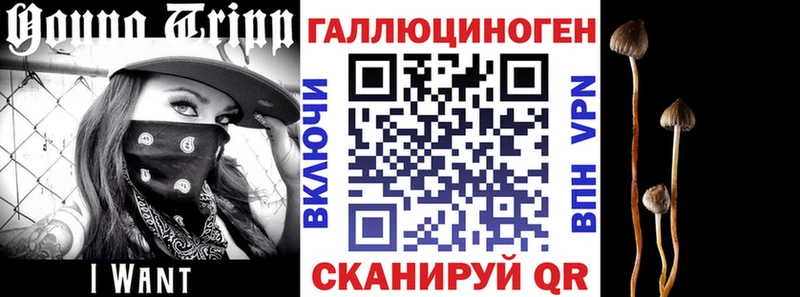 Галлюциногенные грибы мицелий  закладки  Томмот 
